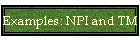 Examples: NPI and TM